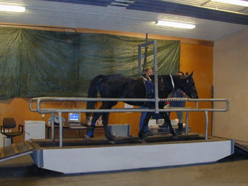 馬用トレッドミル Sato Equine Treadmill